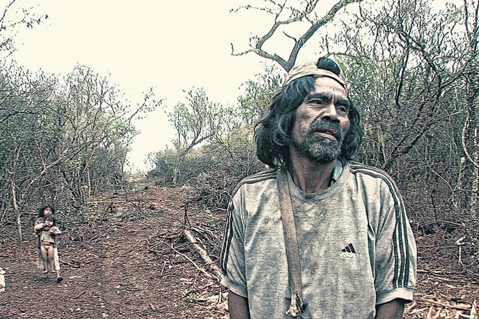 Viaje a los pueblos fumigados, de Fernando “Pino” Solanas, se exhibe fuera de concurso en Berlinale Special.