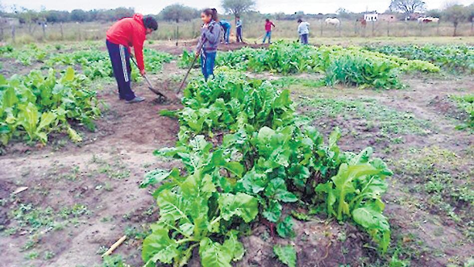 La agricultura familiar y de quintas produce el 60 por ciento de los alimentos consumidos.