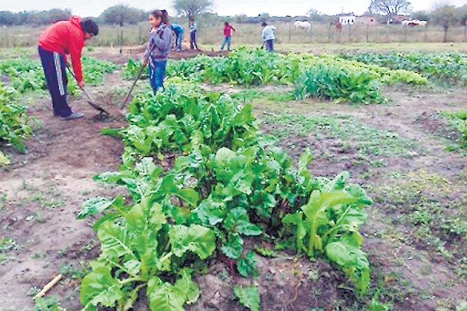 La agricultura familiar y de quintas produce el 60 por ciento de los alimentos consumidos.