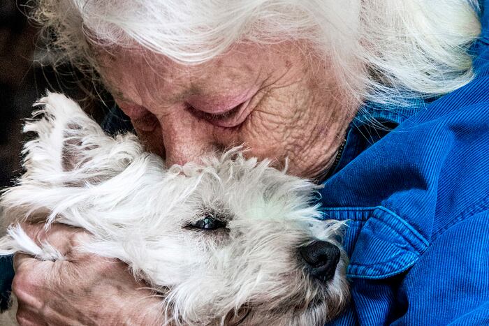 Diana Bellessi nació el 11 de febrero de 1946