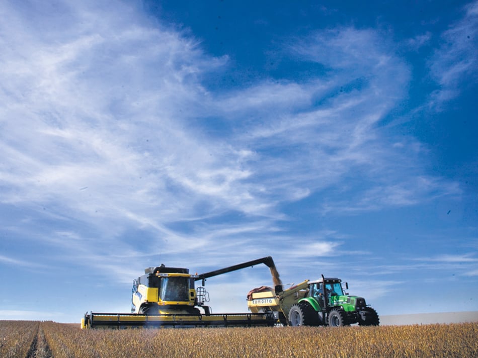 Los datos oficiales dan cuenta de que la cosecha total será record este año por el trigo y el maíz.