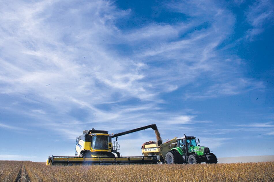 Los datos oficiales dan cuenta de que la cosecha total será record este año por el trigo y el maíz.