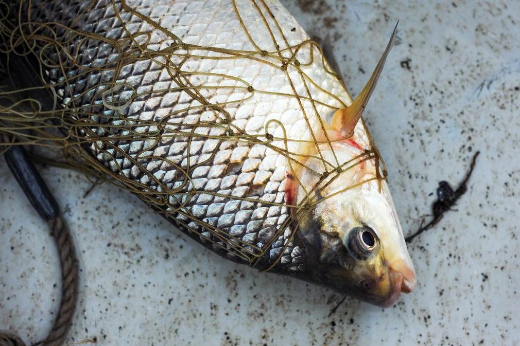 Ya hay trabajos de la UNL que advierten.