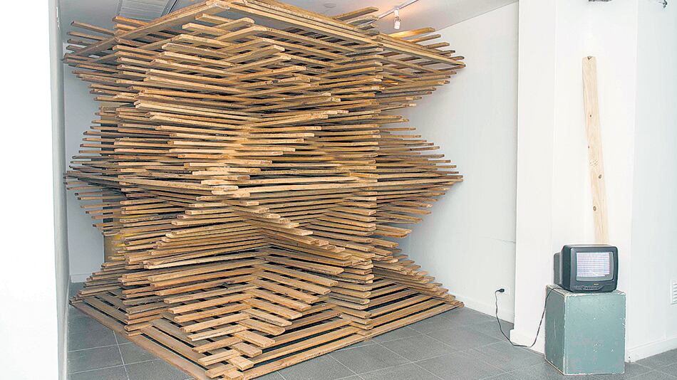 Obra de Luis Terán en la muestra Casa tomada, de la CNB.