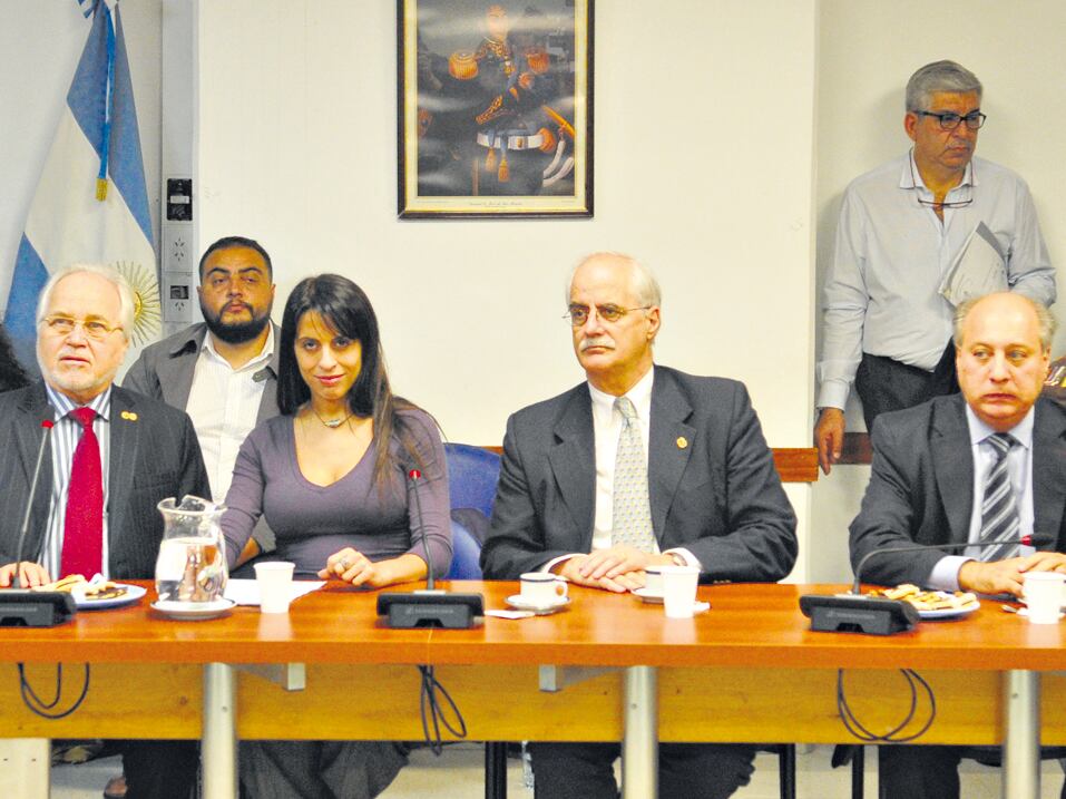 Los integrantes de la CIDH participaron de un encuentro con legisladores en el Congreso.