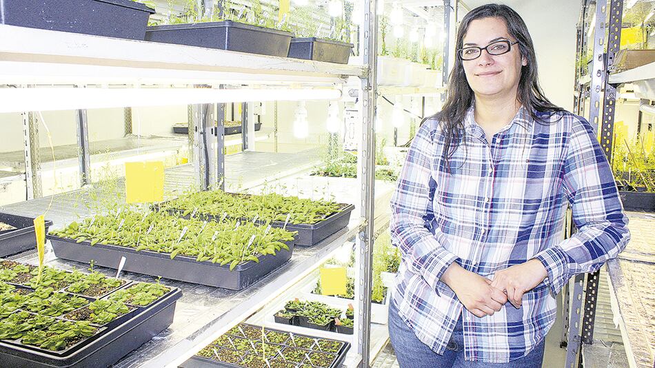 Gabriela Auge es doctora en Biología Molecular e investigadora del Conicet en el Instituto Leloir.