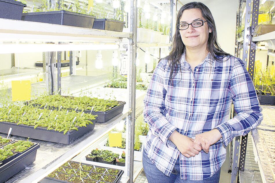 Gabriela Auge es doctora en Biología Molecular e investigadora del Conicet en el Instituto Leloir.