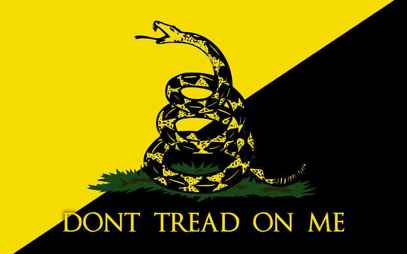 Uno de los símbolos de los libertarios. Bajo la serpiente se lee "Dont (sic) tread on me (No me pisotees)" y refiere a que el Estado no abuse de los ciudadanos.