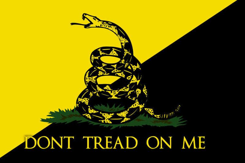 Uno de los símbolos de los libertarios. Bajo la serpiente se lee "Dont (sic) tread on me (No me pisotees)" y refiere a que el Estado no abuse de los ciudadanos.
