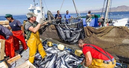 Los insultos de Javier Milei amenazan con poner en riesgo una relación bilateral pesquera de décadas entre ambos países.