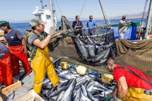 Los insultos de Javier Milei amenazan con poner en riesgo una relación bilateral pesquera de décadas entre ambos países.