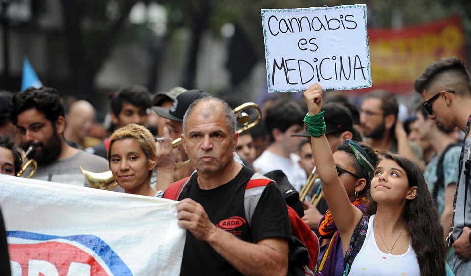 El activismo da a conocer los beneficios del cannabis medicinal.
