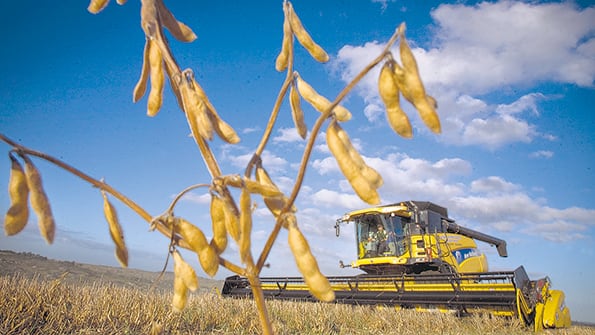Productores y exportadores sojeros tuvieron el doble beneficio de la devaluación y de la baja de retenciones.