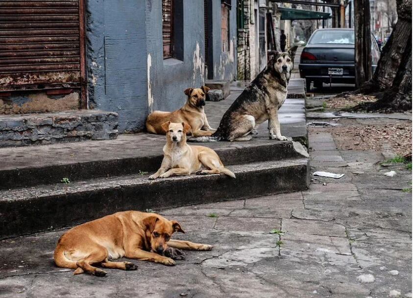 Angeles con caras sucias, por @gerardo.korn.