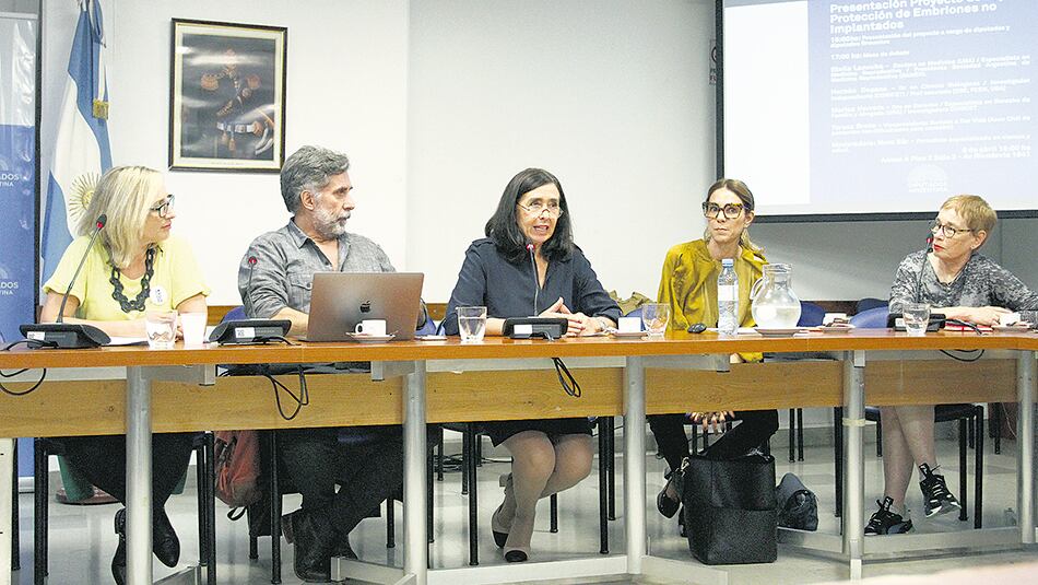 Teresa Bravo, Hernán Dopazo, Stella Lancuba, Marisa Herrera, Nora Bär.