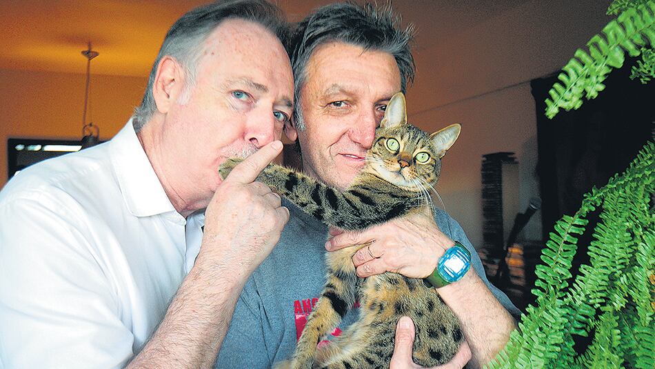 Vicente López es uno de los cuatro gatos bengalíes que tienen Alejandro y Ernesto.