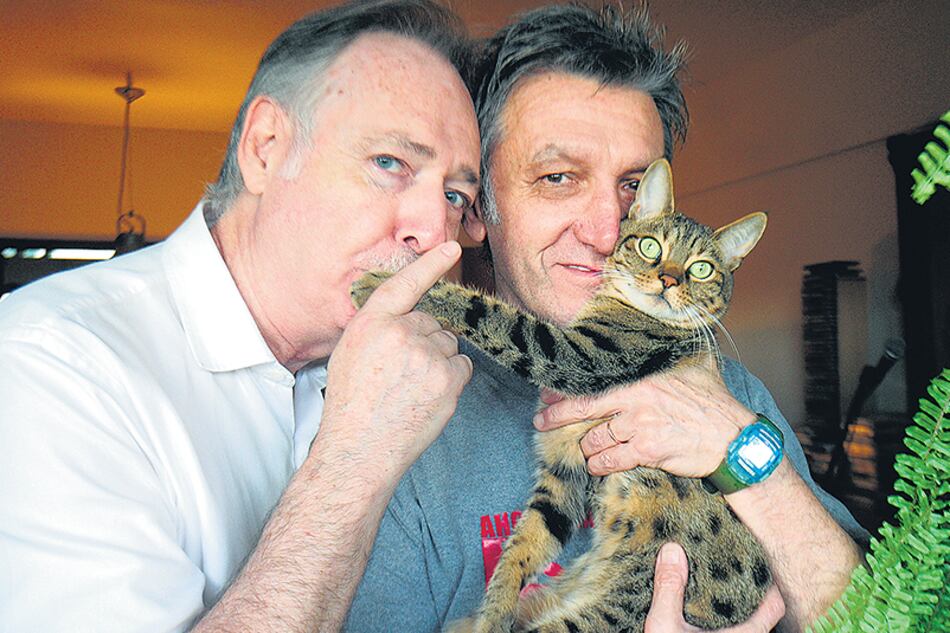 Vicente López es uno de los cuatro gatos bengalíes que tienen Alejandro y Ernesto.