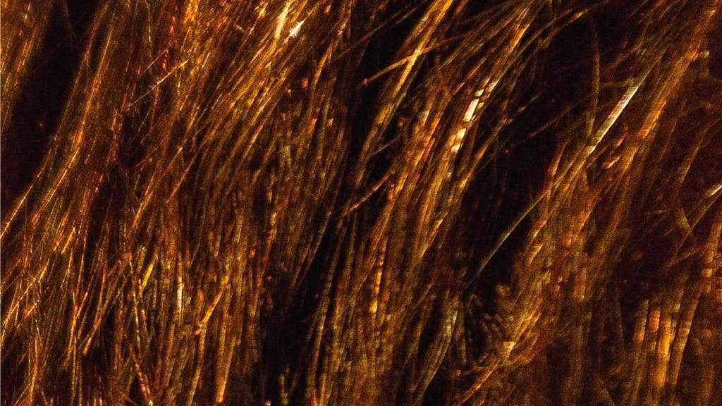 ¿Lanzamiento de campaña de Santilli o propaganda de shampoo?