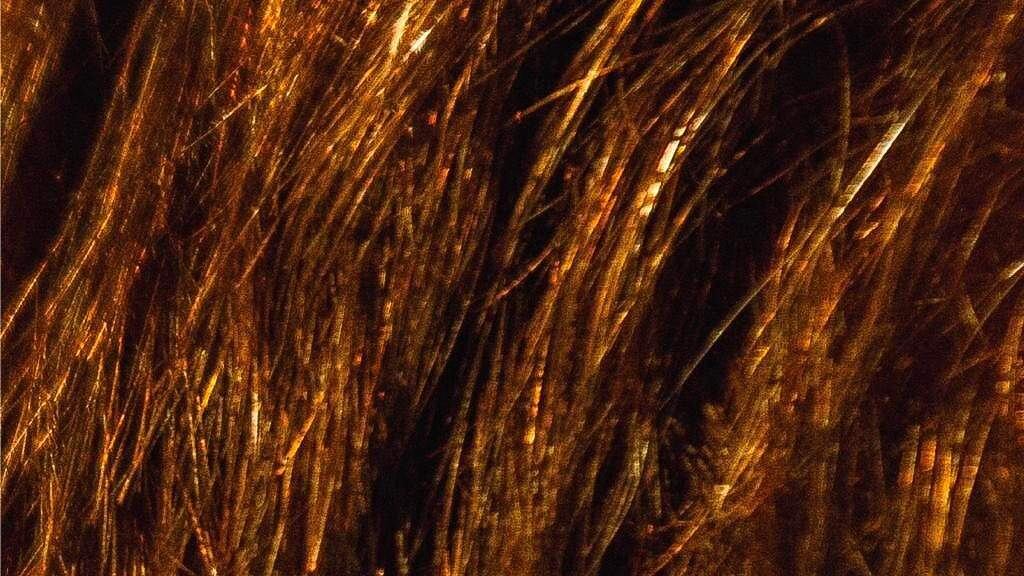 ¿Lanzamiento de campaña de Santilli o propaganda de shampoo?