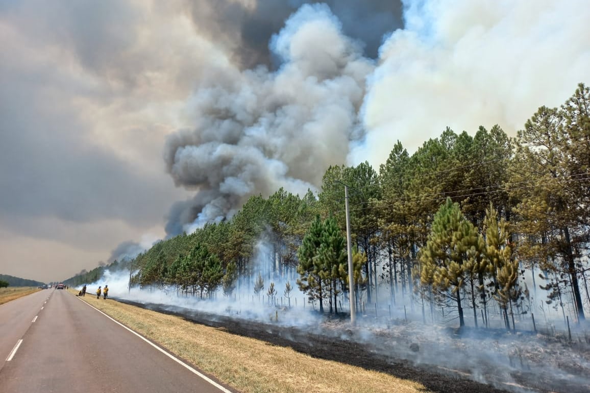 Desde la Casa Rosada señalaron que lo que está ocurriendo en Corrientes "es una tragedia ecológica sin precedentes".
