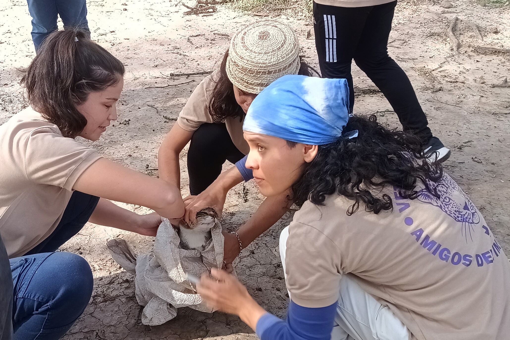 Una campaña solidaria sostenida en el amor.
