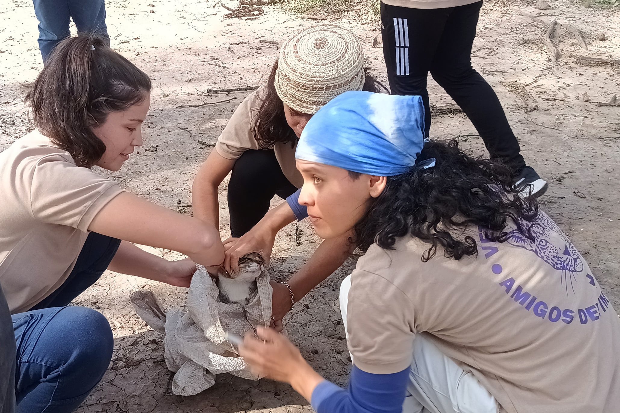 Una campaña solidaria sostenida en el amor.
