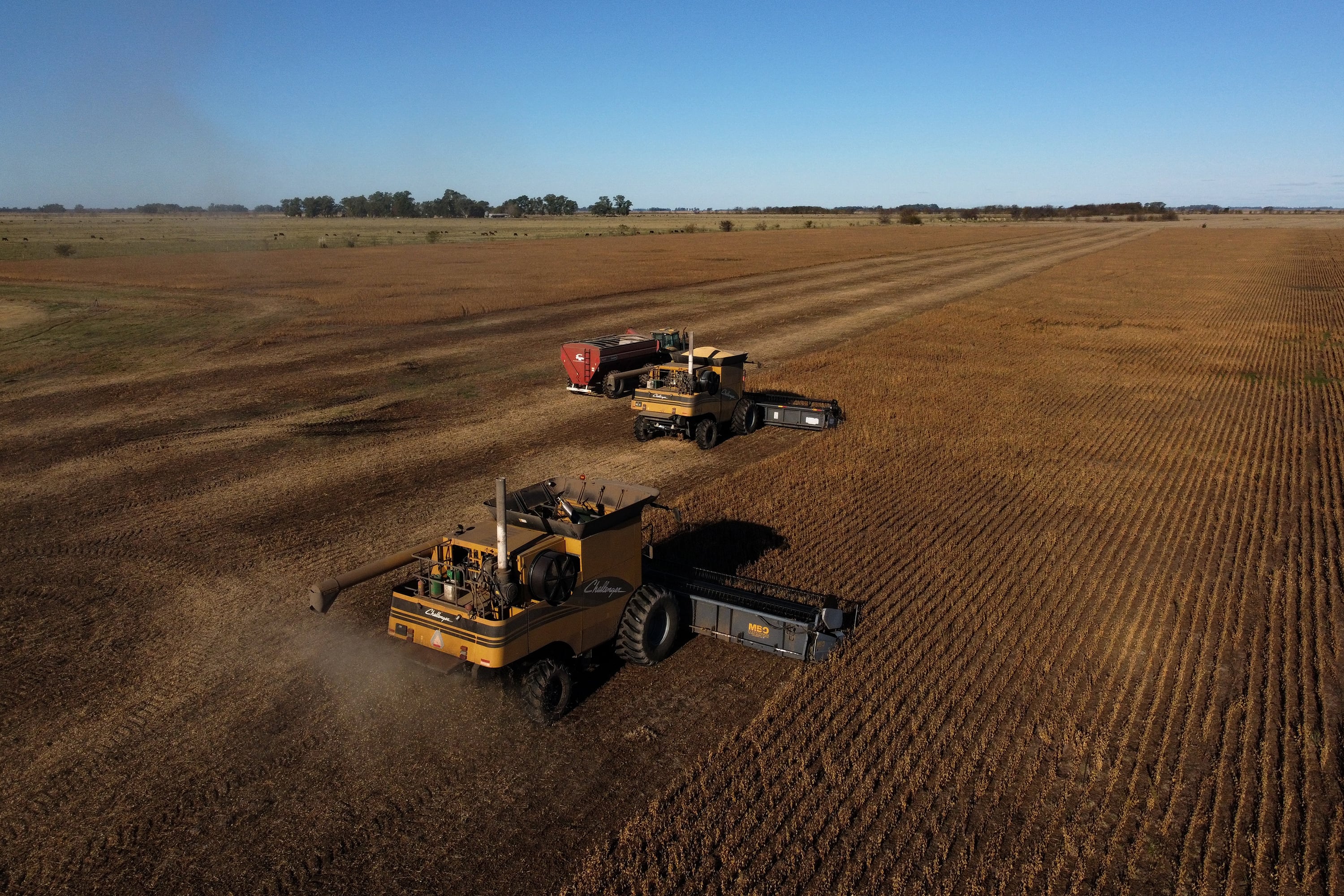 "Existe un límite territorial a la expansión sojera en Argentina", explica Martín Burgos.