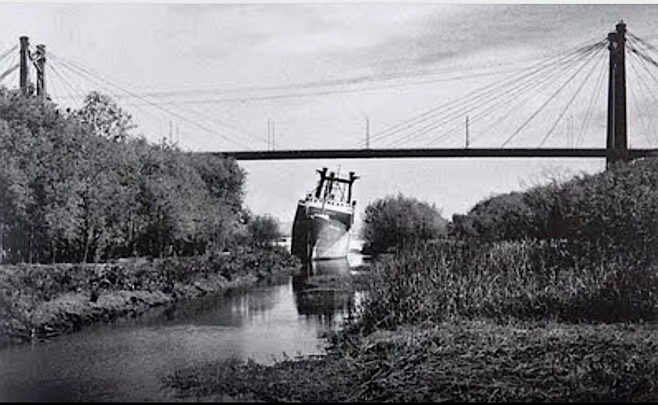 Foto de Paiva, de su libro sobre El Paraná. Abajo: Tapa del libro de Cozarinsky, con una obra de Rolando Paiva.