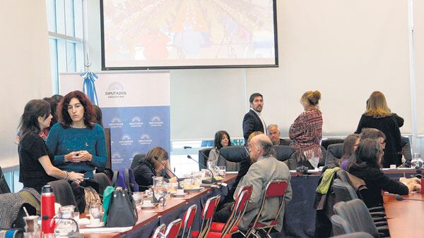 La sesión plenaria de las cuatro comisiones intervinientes: Legislación General, Legislación Penal, Mujer y Salud.