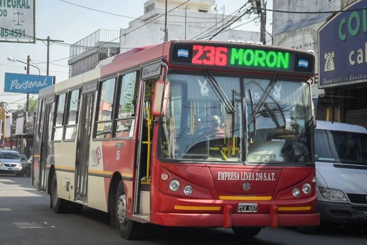 Linea 236