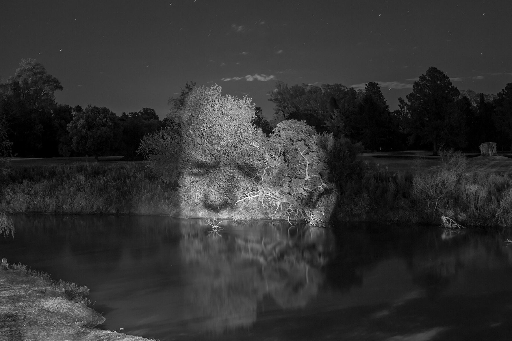 “Apareciendo a López…” de Gabriel Orge (a partir de una foto de Helen Zout), 2014.