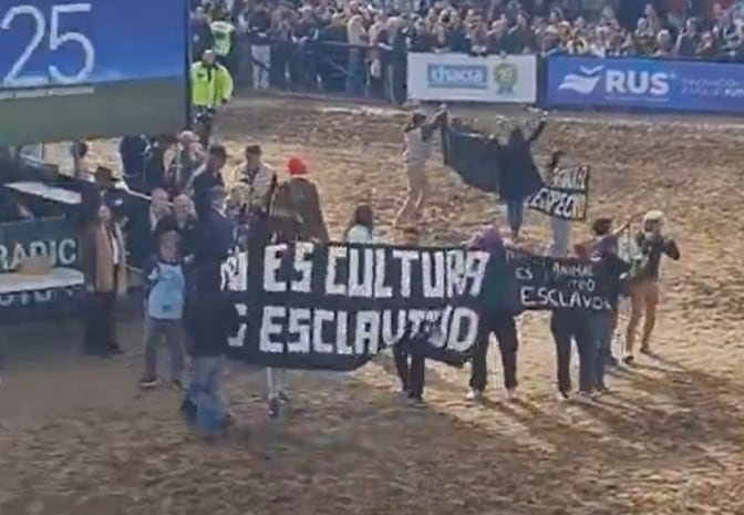 Activistas veganos realizaron una protesta en el marco de la Expo Rural.