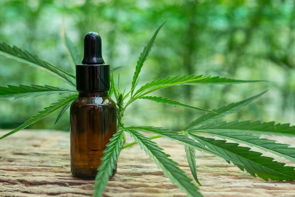 Cuál es el aceite de cannabis y el jabón terapéutico que prohibió Anmat.