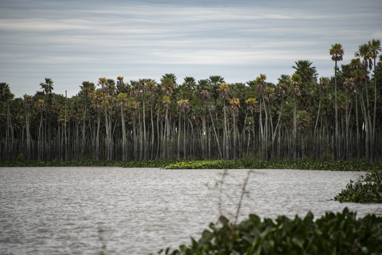 El nuevo parque nacional está integrado en su mayoría por humedales de gran biodiversidad. 