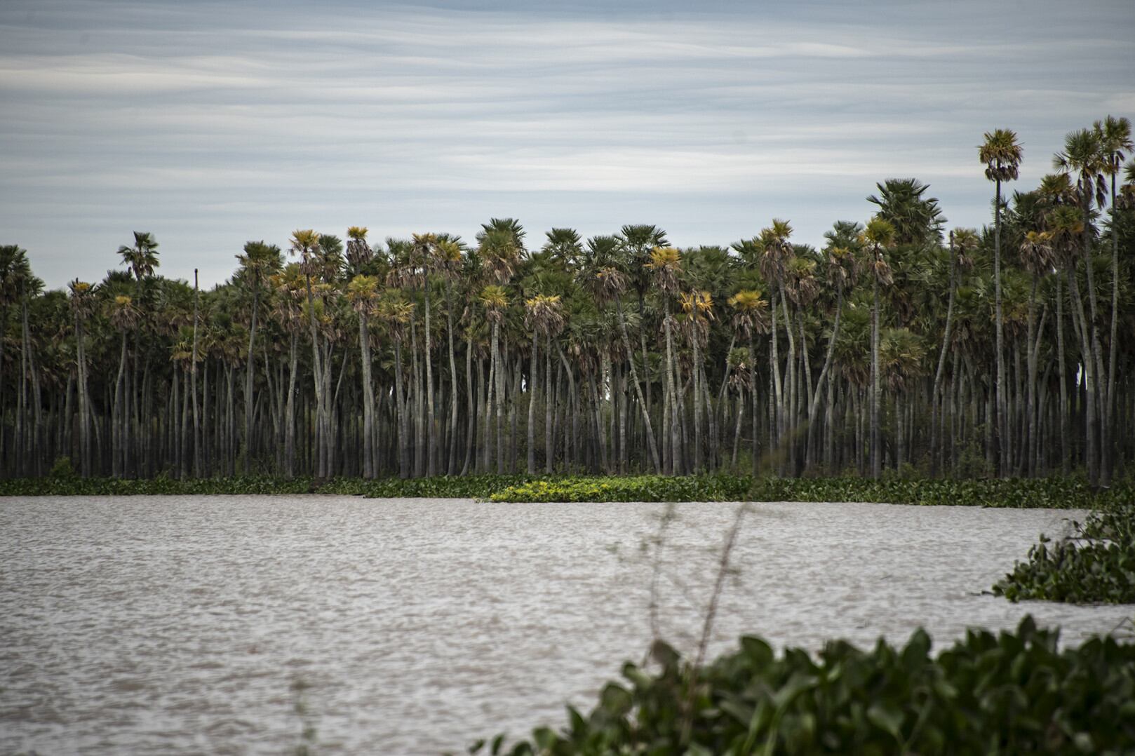 El nuevo parque nacional está integrado en su mayoría por humedales de gran biodiversidad.