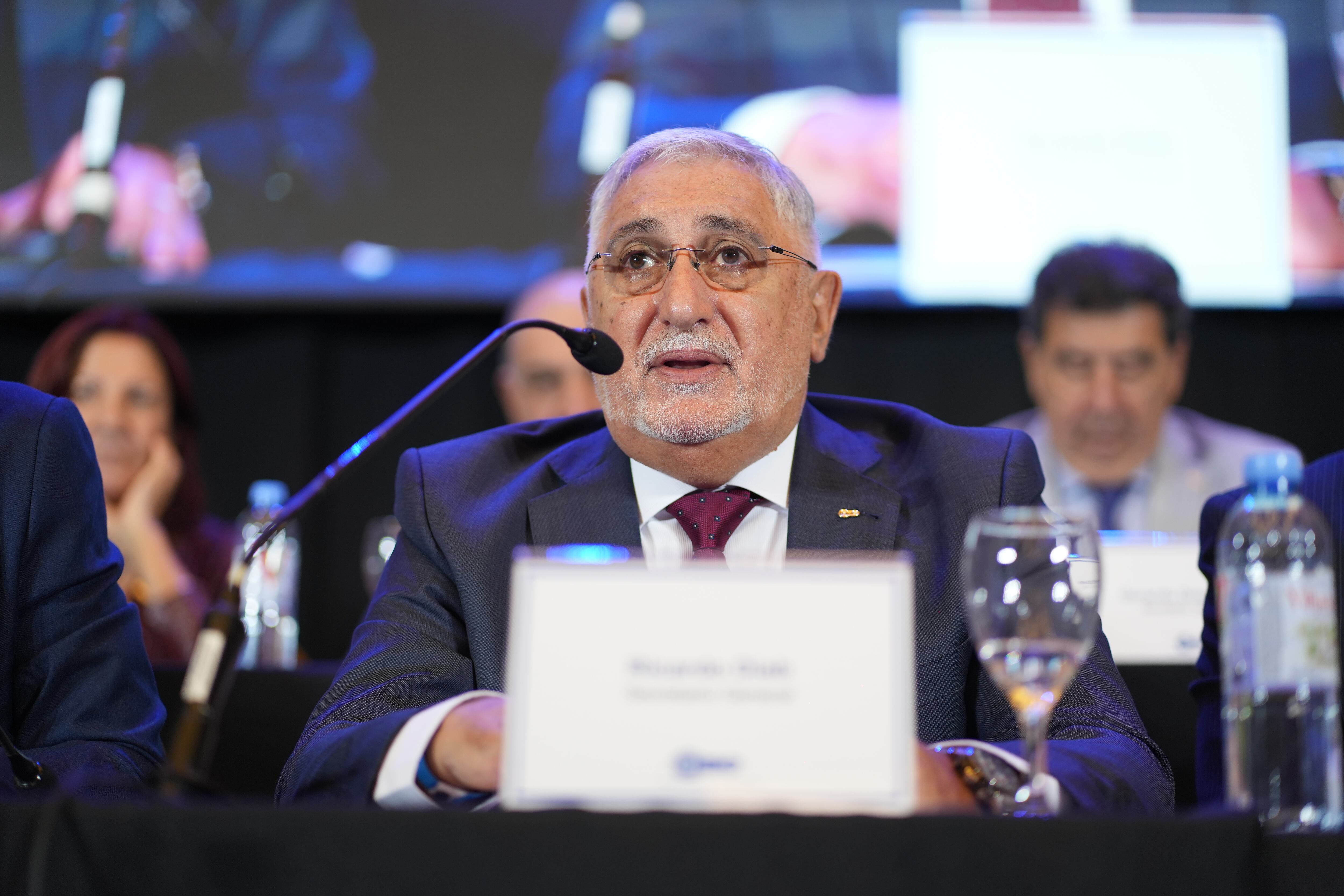 Diab en el plenario realizado ayer