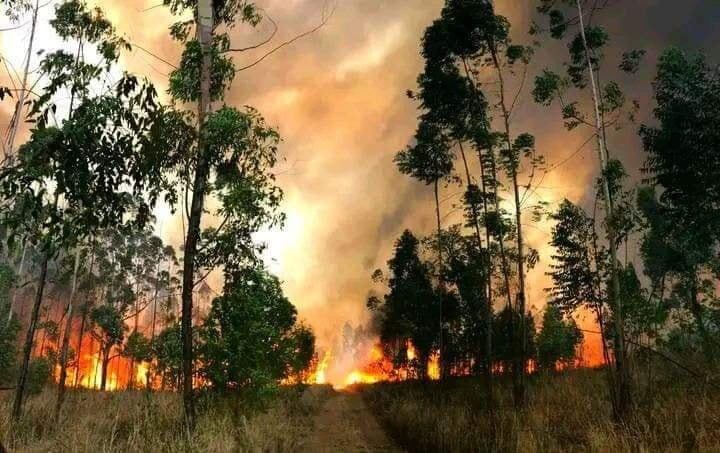 En el paraje El Bananal, Jujuy.