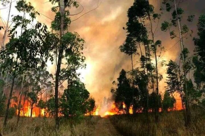 En el paraje El Bananal, Jujuy.