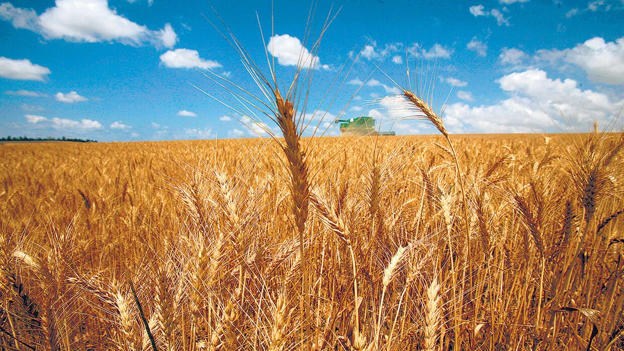 Los mayoristas estuvieron empujados por el alza en productos agropecuarios, además de pesqueros e hidrocarburos.