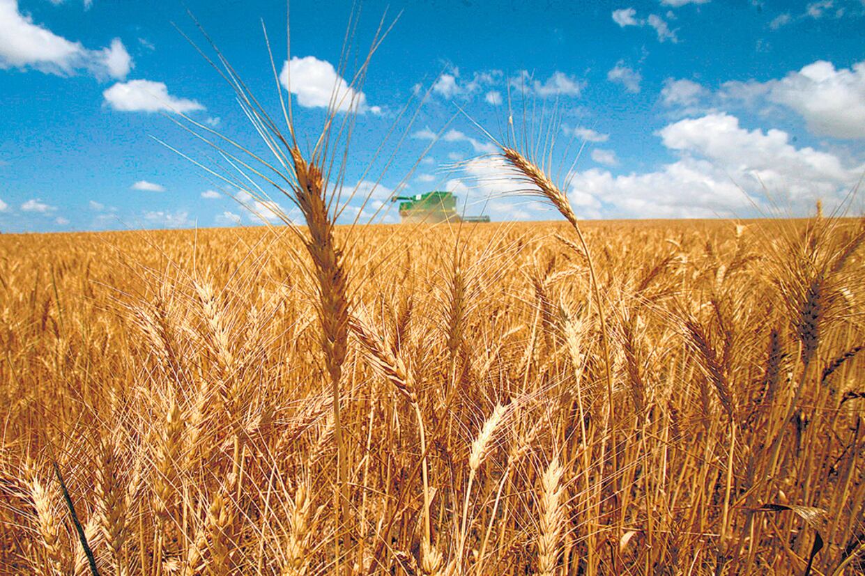 Los mayoristas estuvieron empujados por el alza en productos agropecuarios, además de pesqueros e hidrocarburos.