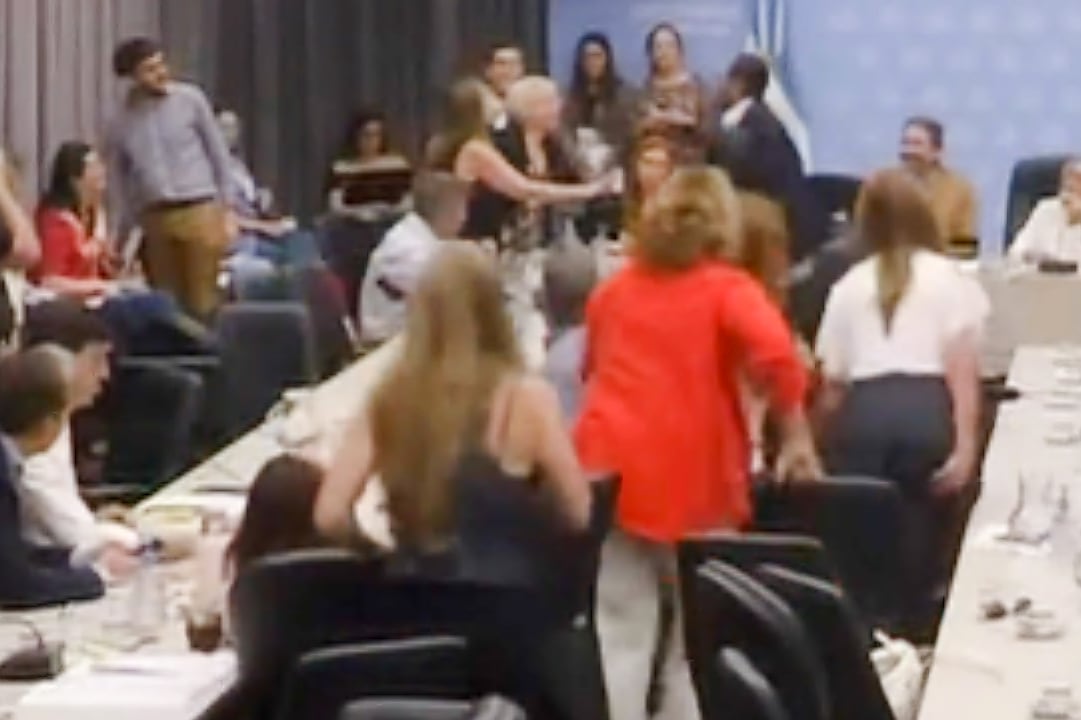 El momento del cruce durante el plenario de comisiones. 