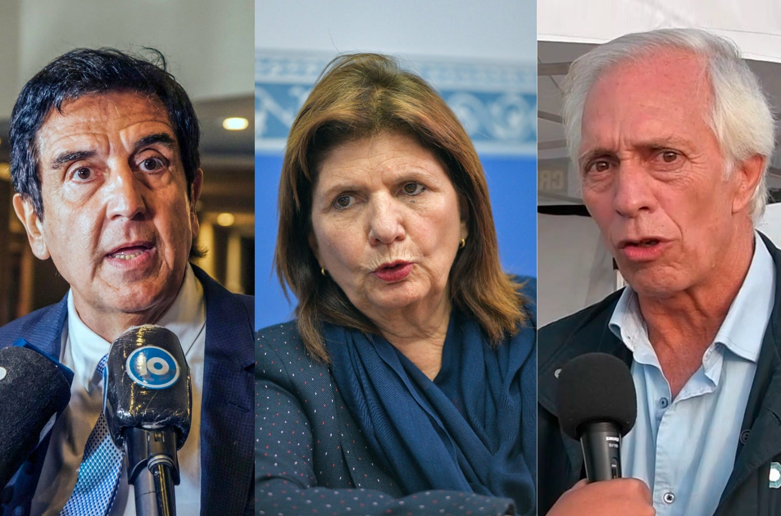 Melconian, Bullrich y "Willy" Bernaudo, que pasó de criticar las retenciones a decir que seguirán