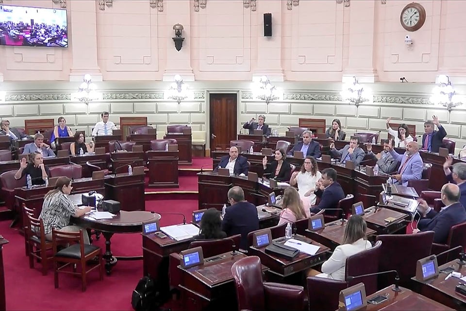 "Mezquindad en medio de la pandemia", expresó Leandro Busatto, presidente de la bancada oficialista.