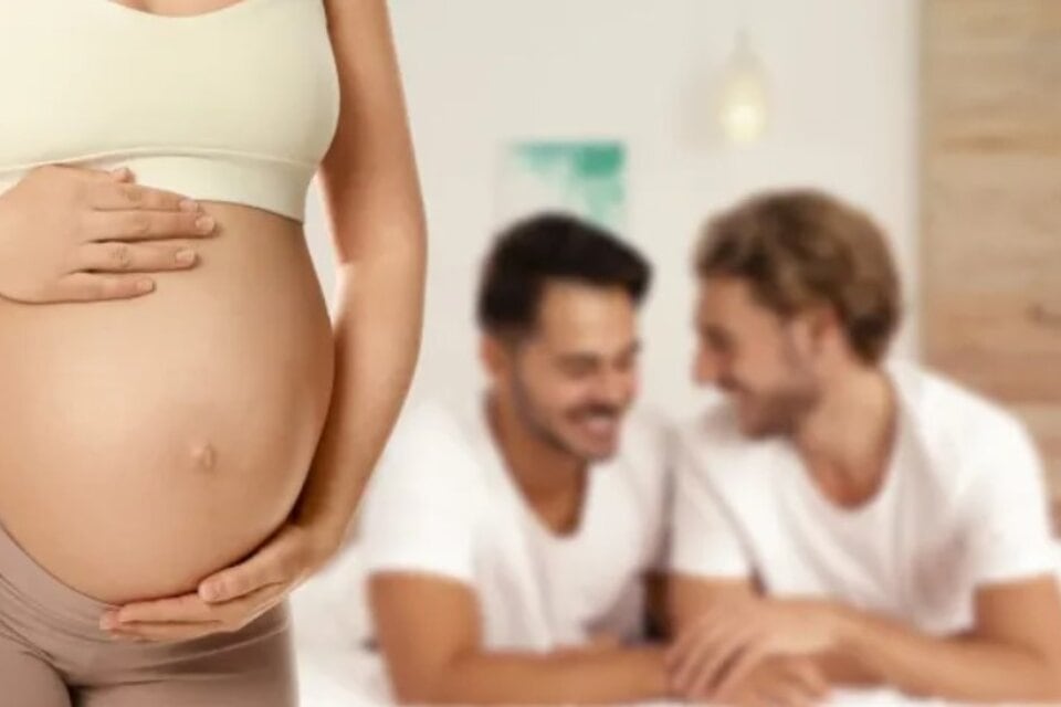 El fallo sobre un vientre subrogado en tiempos libertarios.