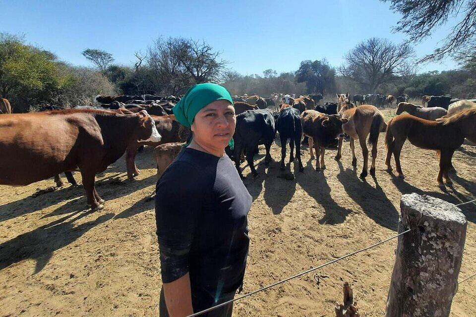 Organizaciones sociales y de derechos humanos repudiaron enérgicamente la orden judicial.