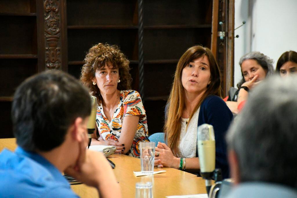 Mariel Chapero, de Apridis, detalló en el Concejo la situación.