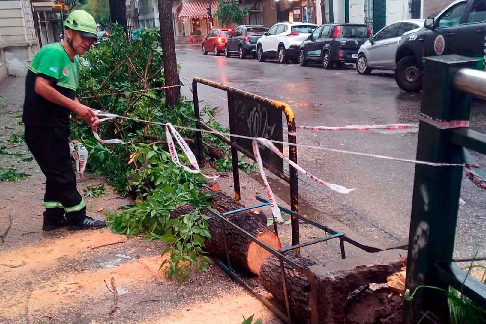 Personal de Emergencia retira ramas caidas.