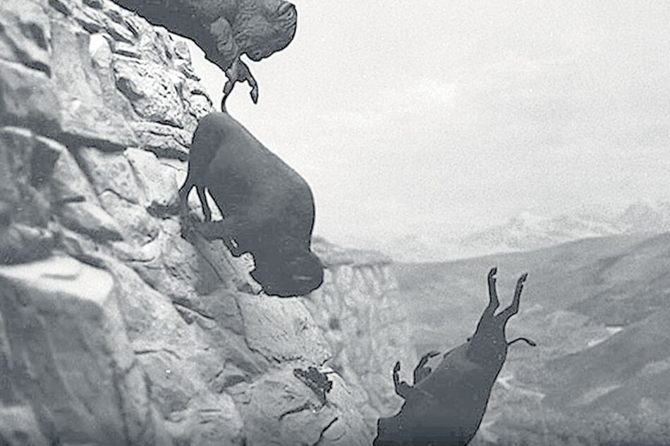 Untitled (Buffaloes) de David Wojnarowicz. Esta foto fue la tapa del simple “One” de U2 en 1989.