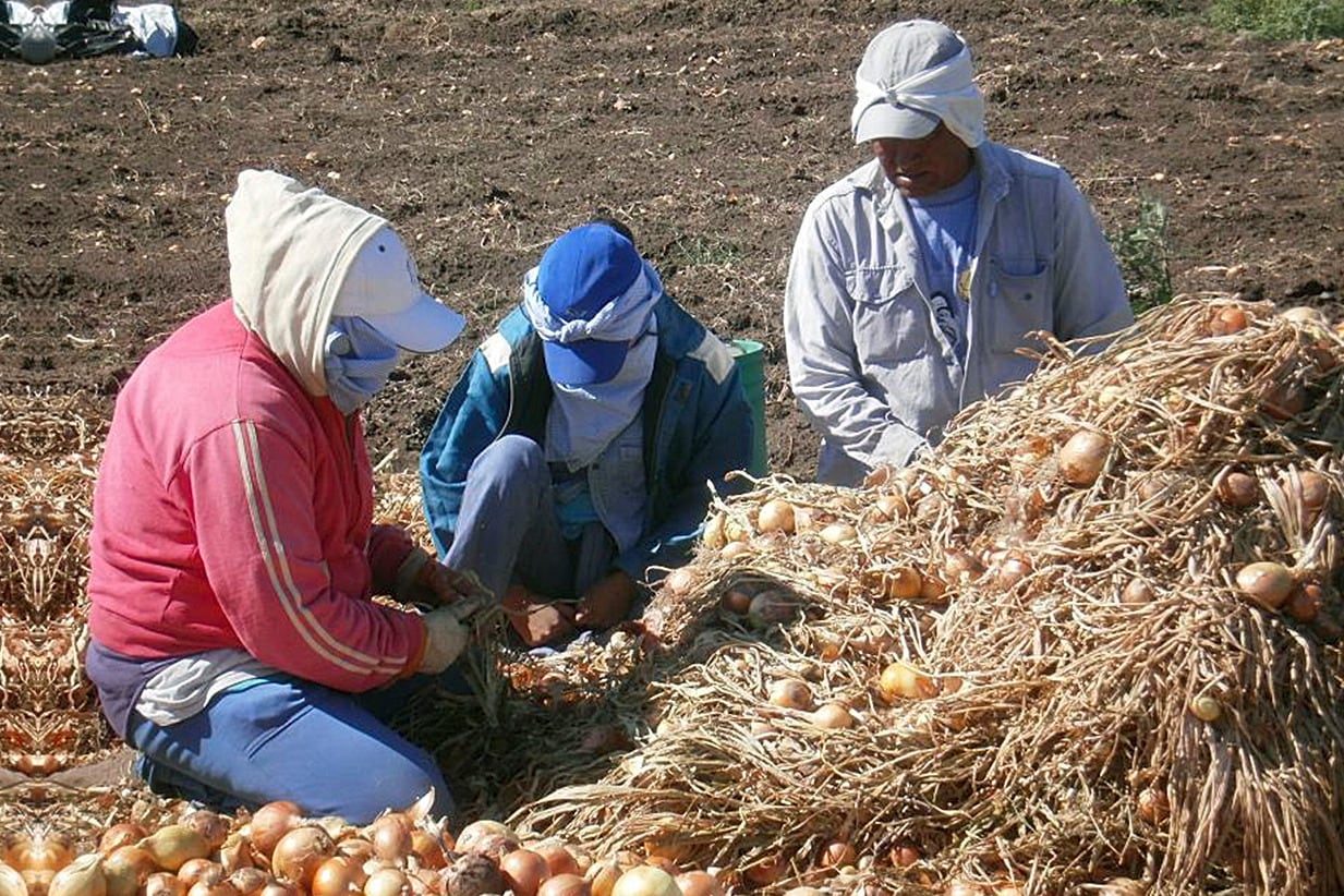 La Ley de Acceso a la Tierra que impulsa la Unión de Trabajadores de la Tierra contempla la creación del Procrear Rural para otorgar créditos para la compra de lotes.
