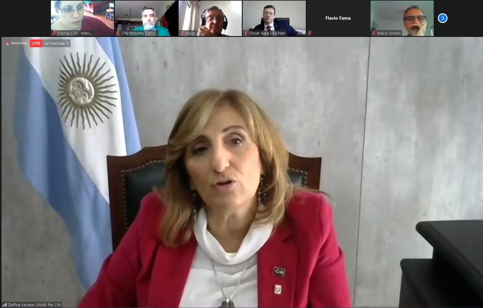 La presidenta del CIN, Delfina Veiravé.